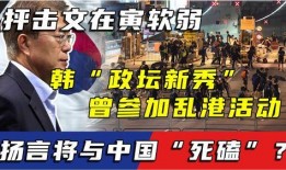 政坛新秀在线观看,崛起之路，在线观看揭秘